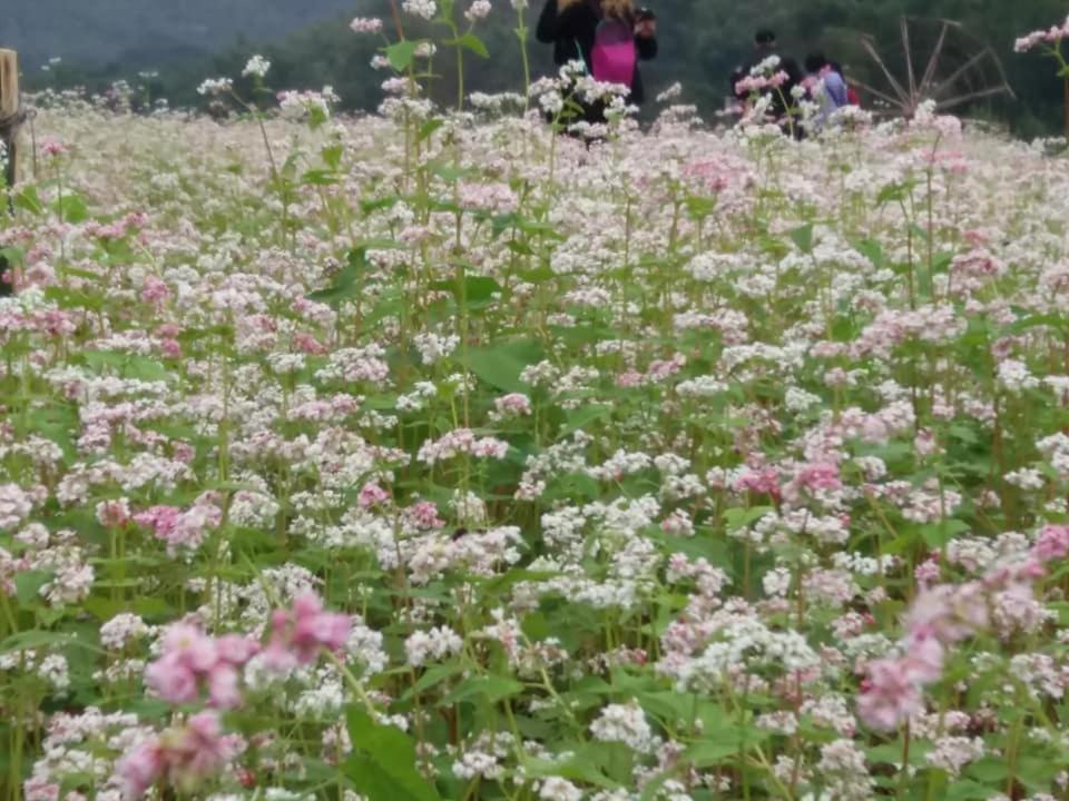Mai Chau Xanh Bungalow Εξωτερικό φωτογραφία