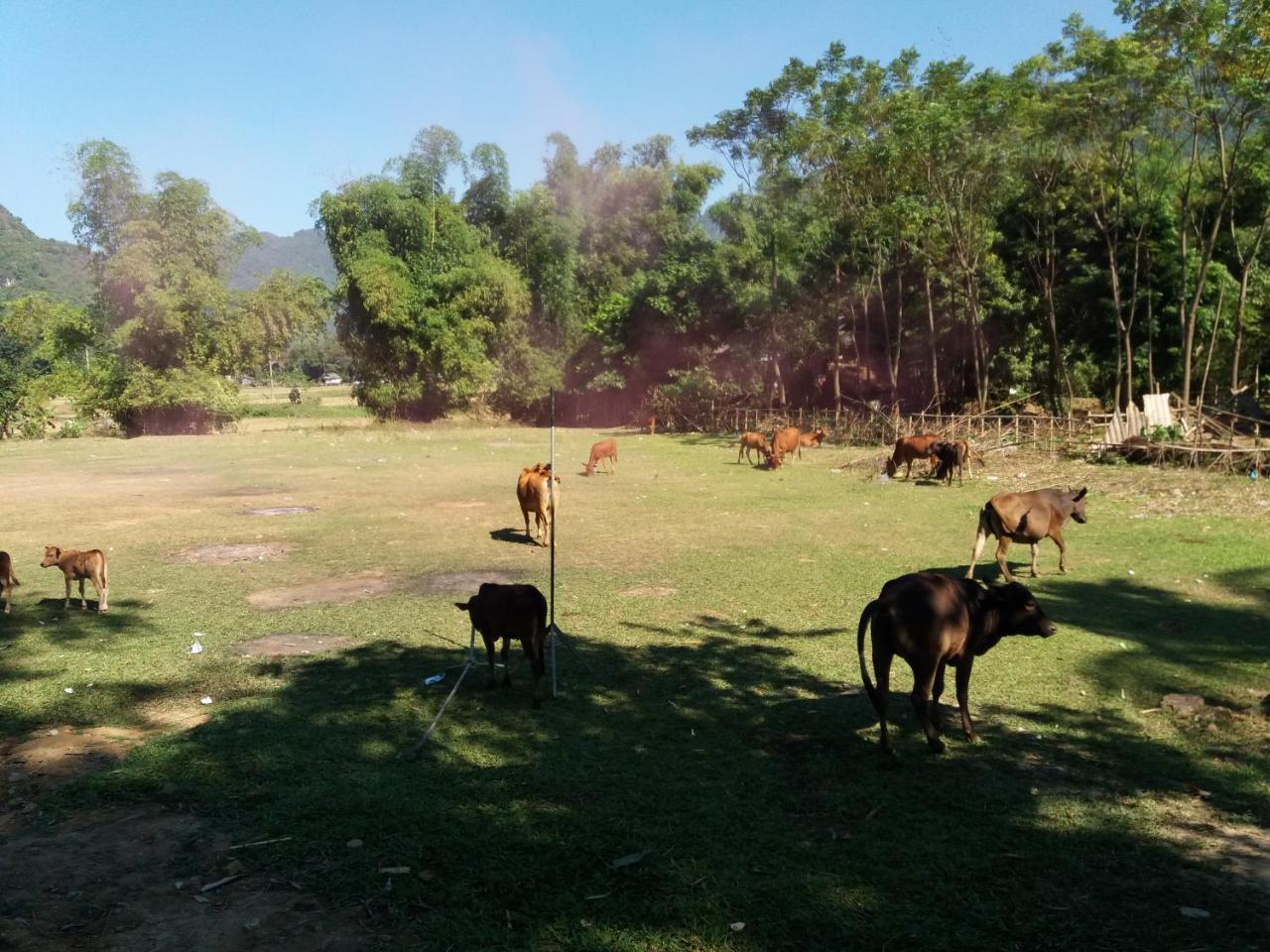 Mai Chau Xanh Bungalow Εξωτερικό φωτογραφία
